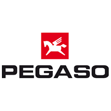 Pegaso
